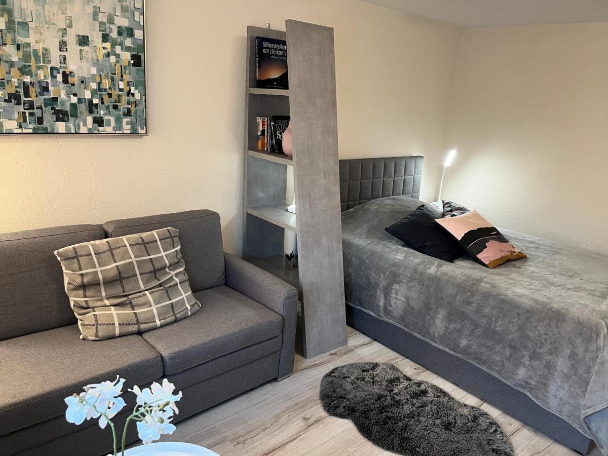 אינגלהיים אם ריין Alice Apartment Wackernheim מראה חיצוני תמונה